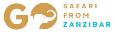 Tanzania Safari from Zanzibar | Go Safari